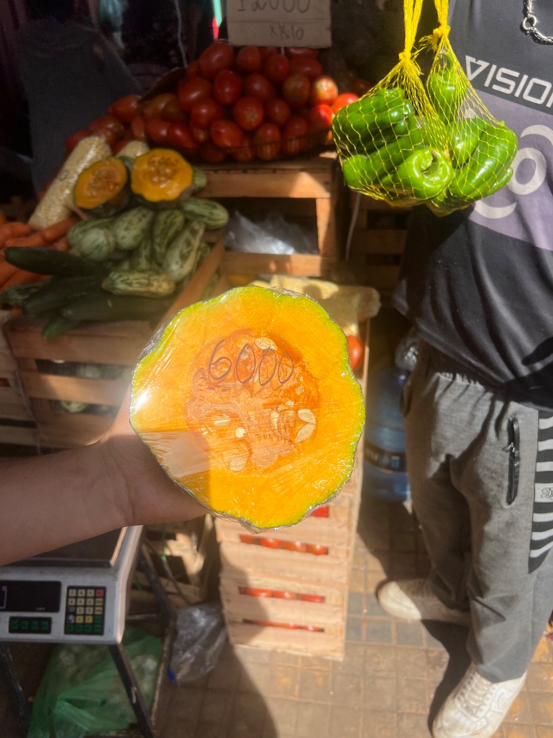 Zapallo