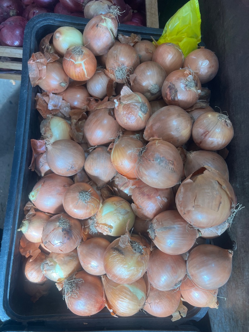 Cebolla