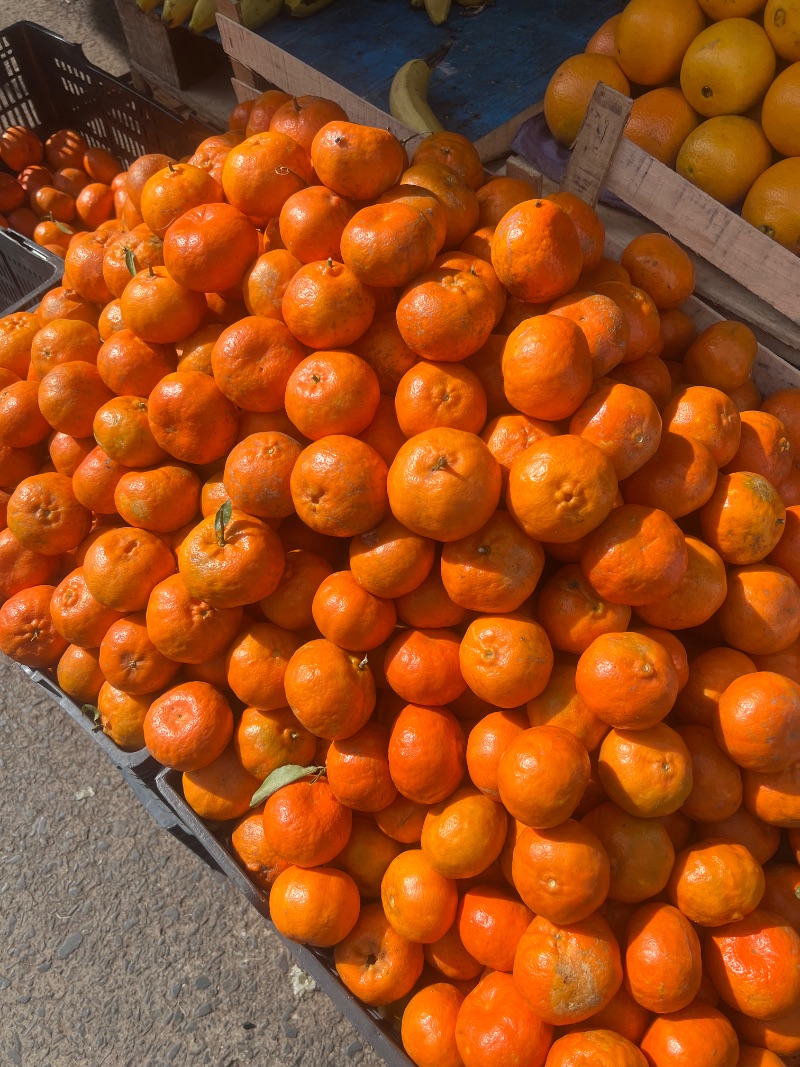 Mandarina