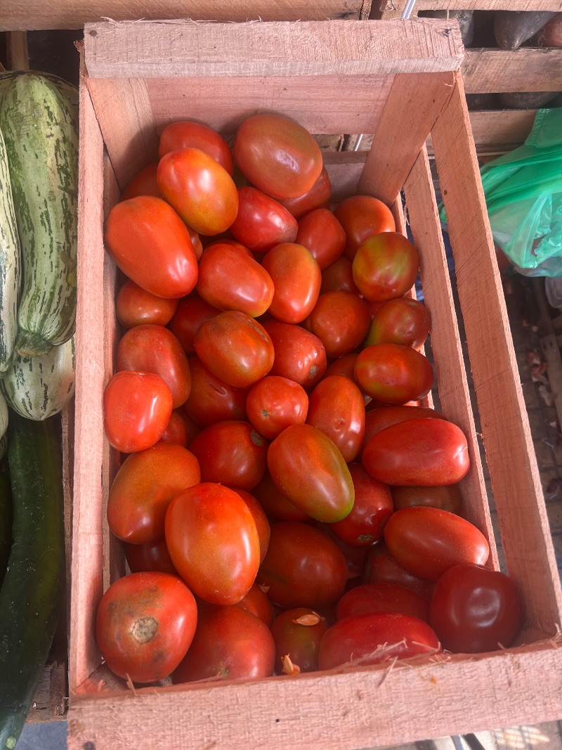 Tomate