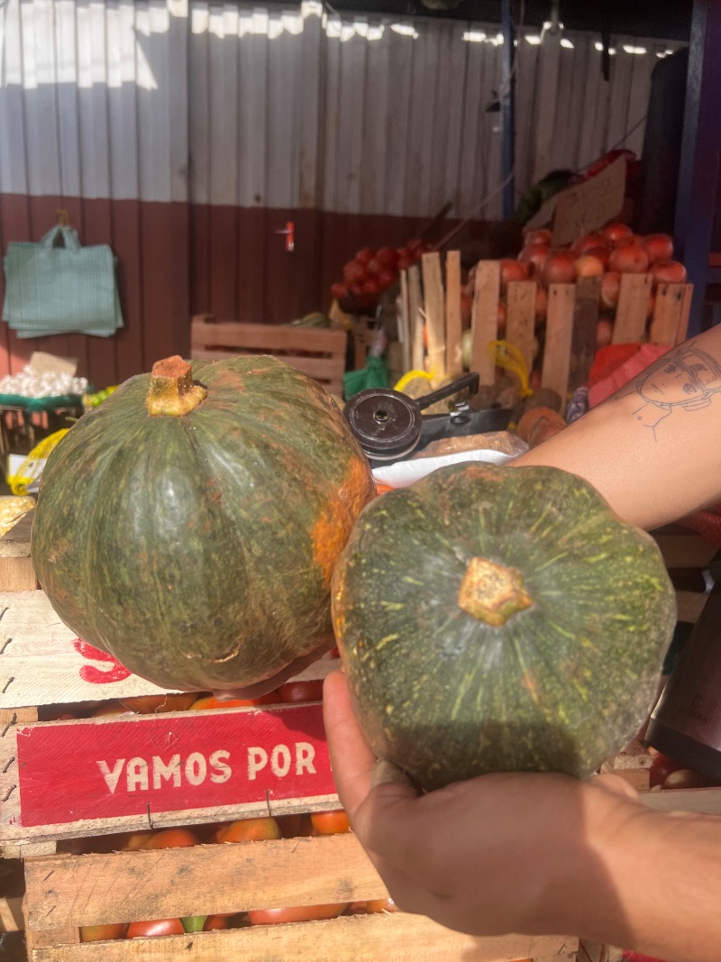 Zapallo