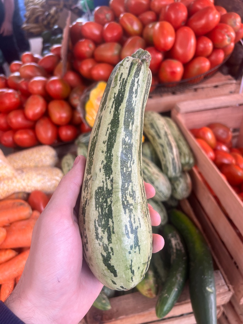 Zucchini